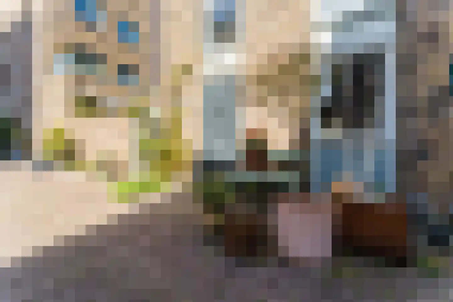 Kaapstanderstraat 9 Haarlem thumbnail 51