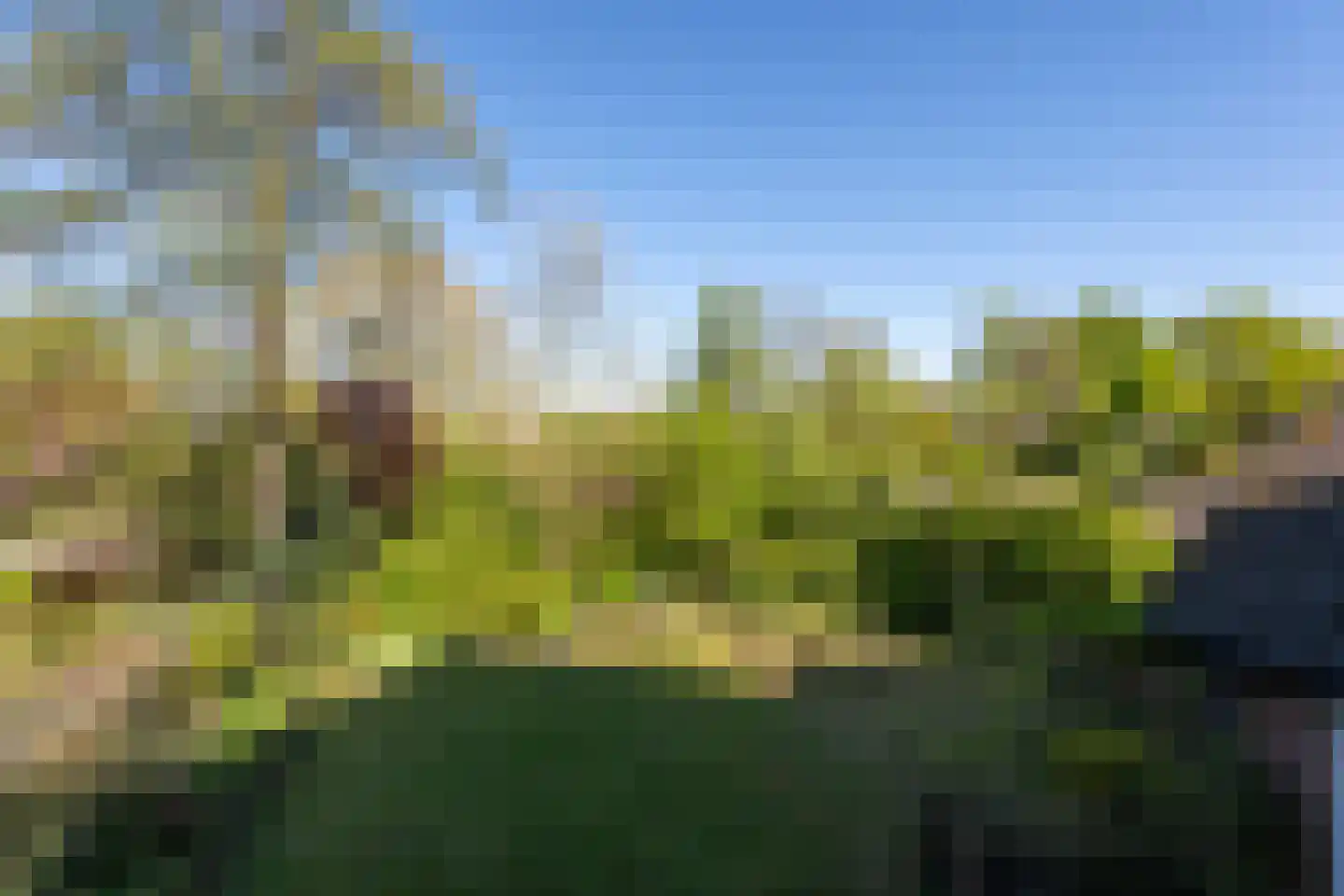 Kaar 10 Riel thumbnail 21