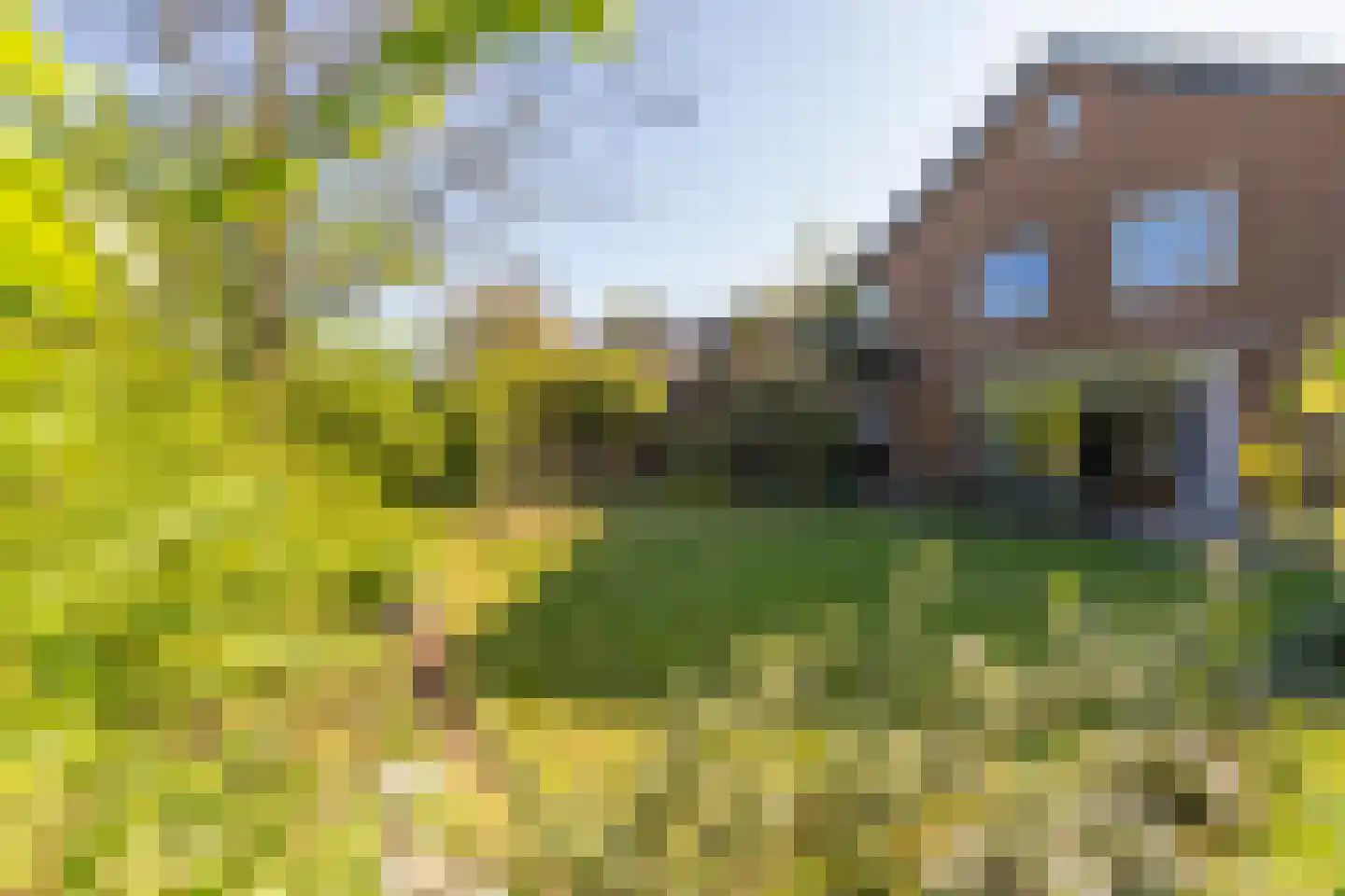Kaar 10 Riel thumbnail 4