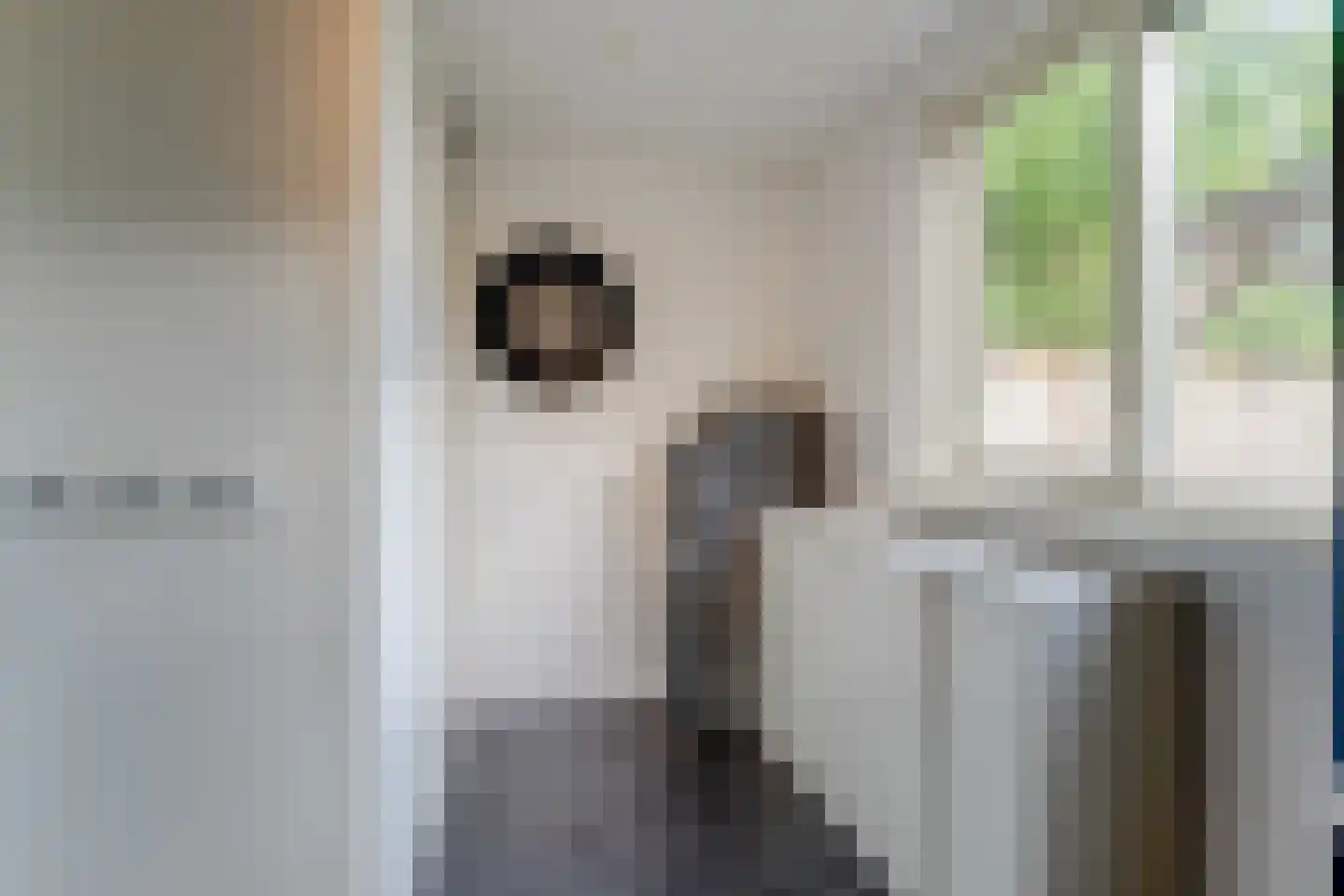 Kaar 11 Hoogwoud thumbnail 24