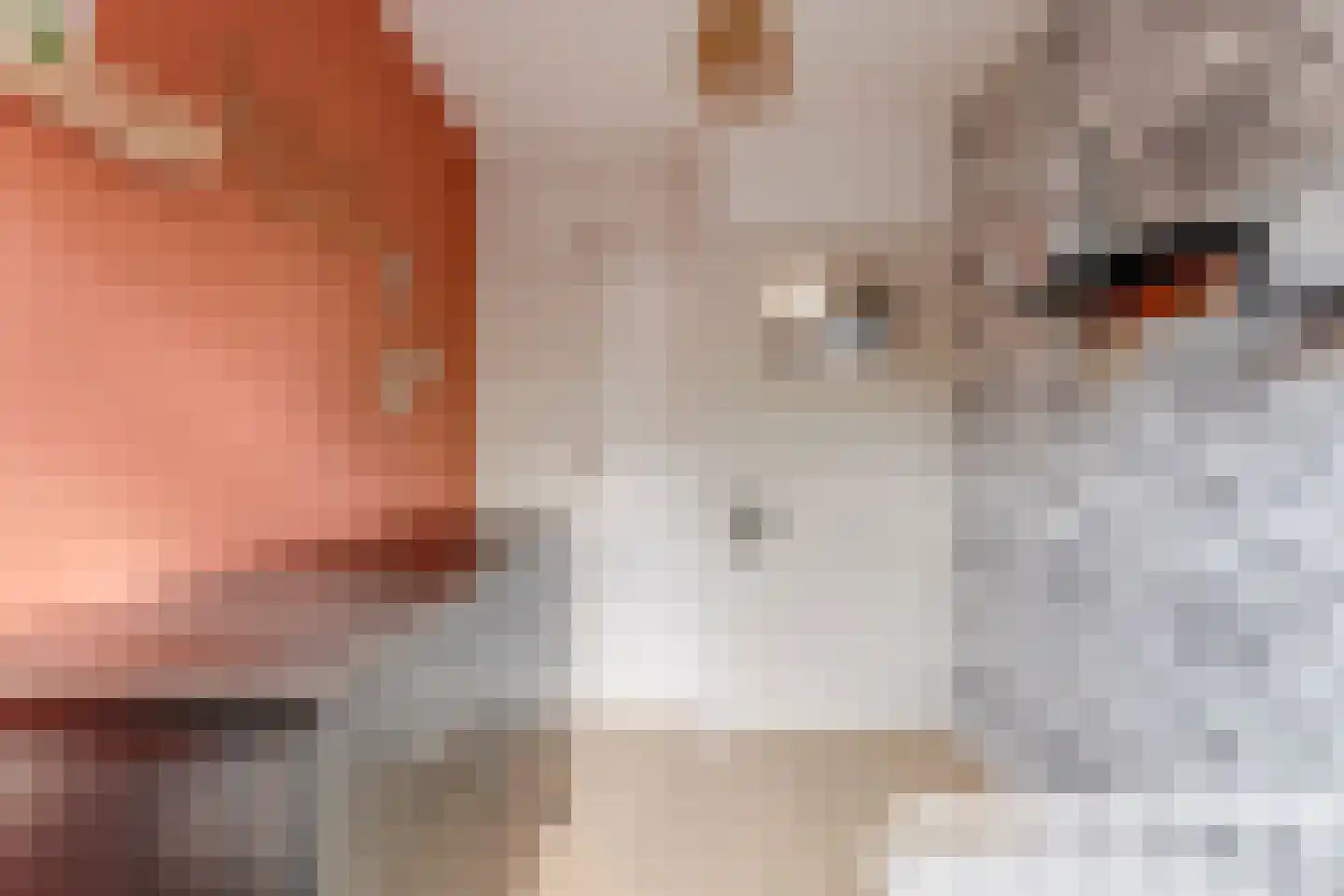Kaar 11 Hoogwoud thumbnail 44