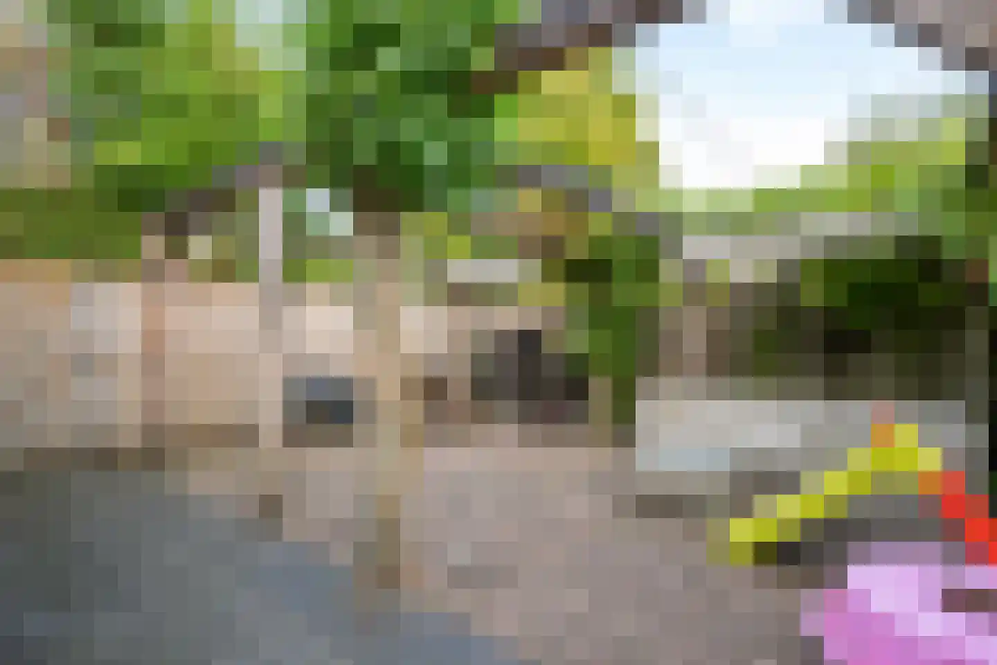 Kaar 11 Hoogwoud thumbnail 53