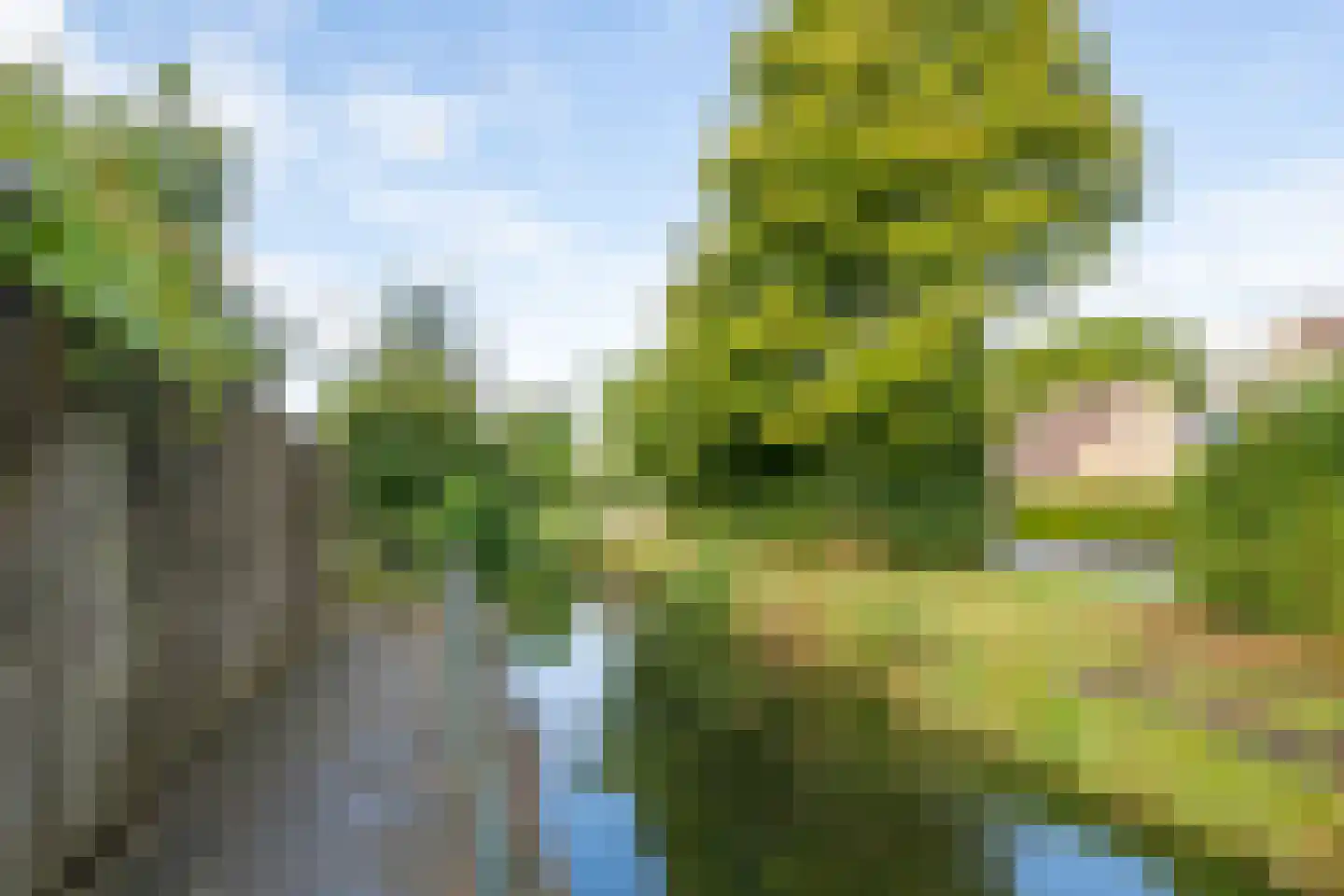 Kaar 11 Hoogwoud thumbnail 58