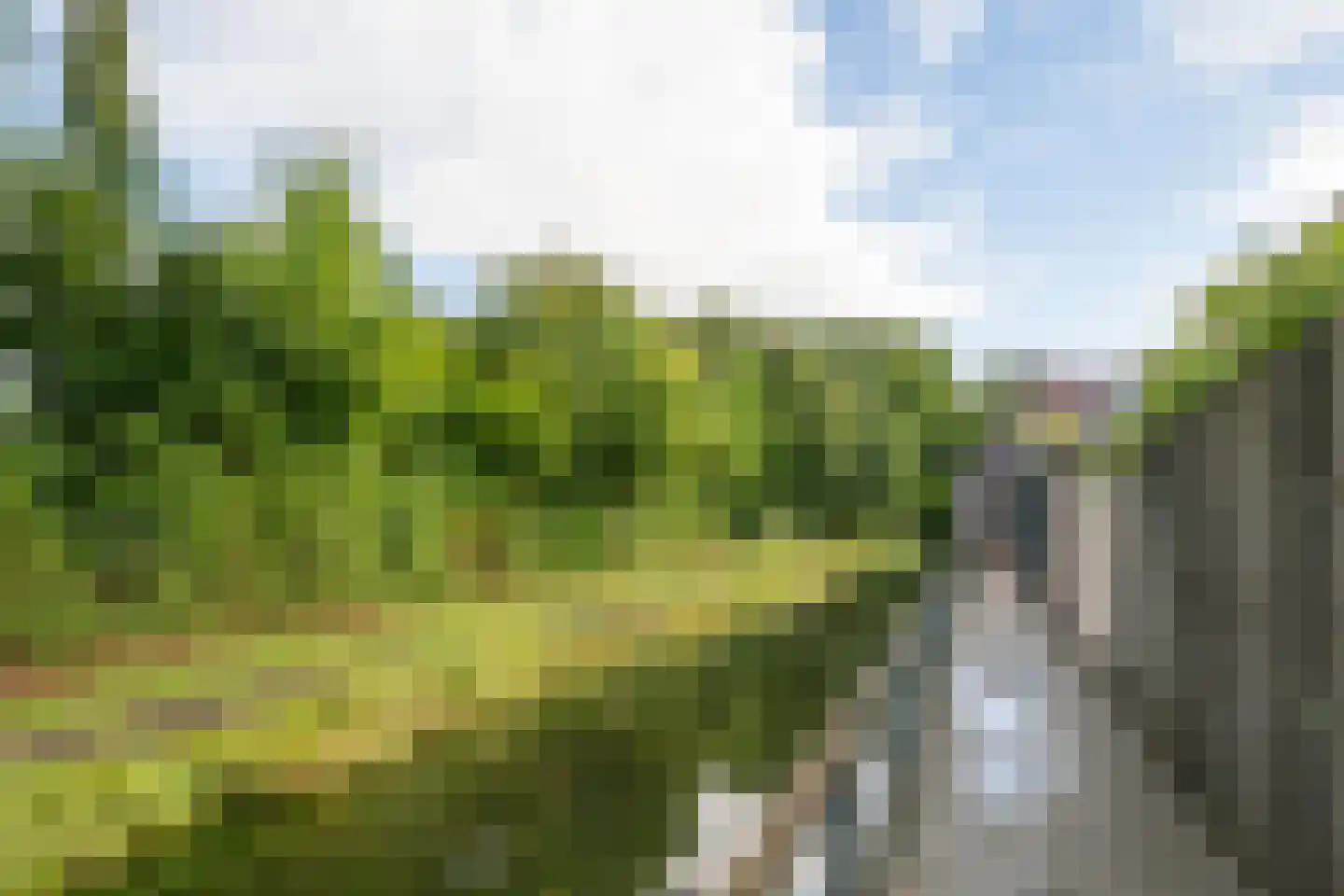 Kaar 11 Hoogwoud thumbnail 59