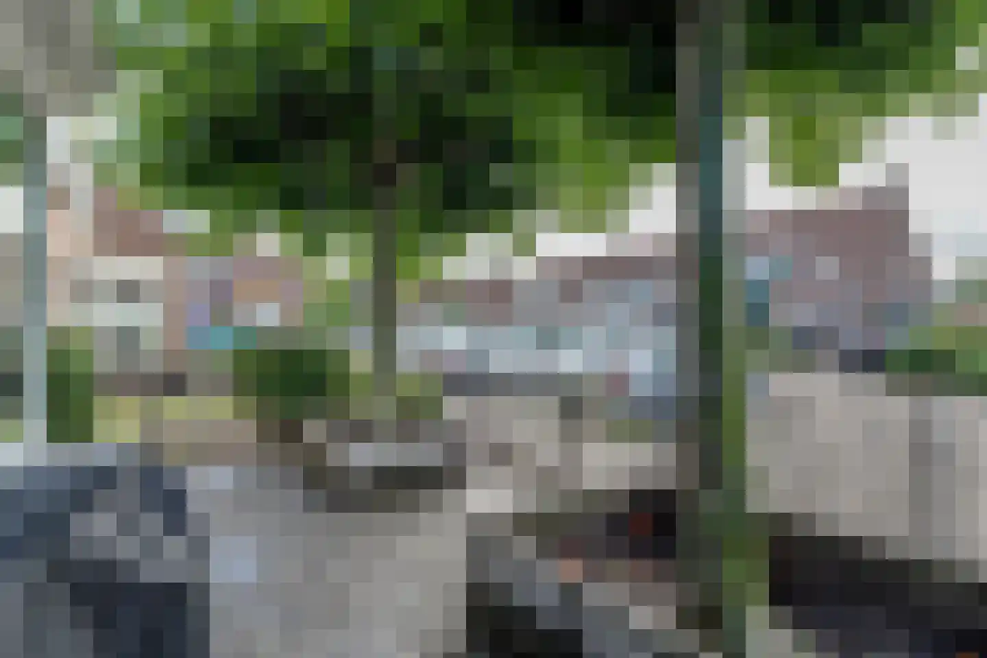 Kaar 11 Hoogwoud thumbnail 62