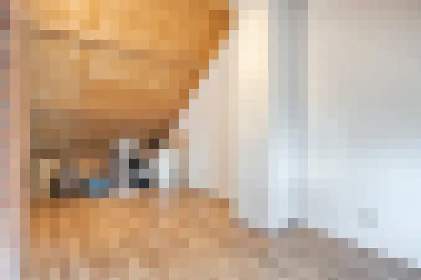 Kaar 13 Schaijk thumbnail 24