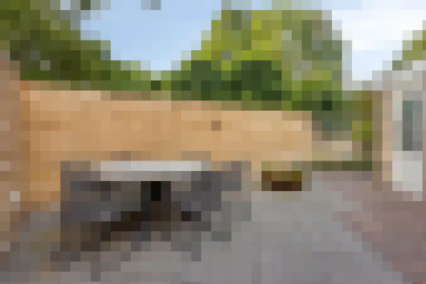 Kaar 13 Schaijk thumbnail 29