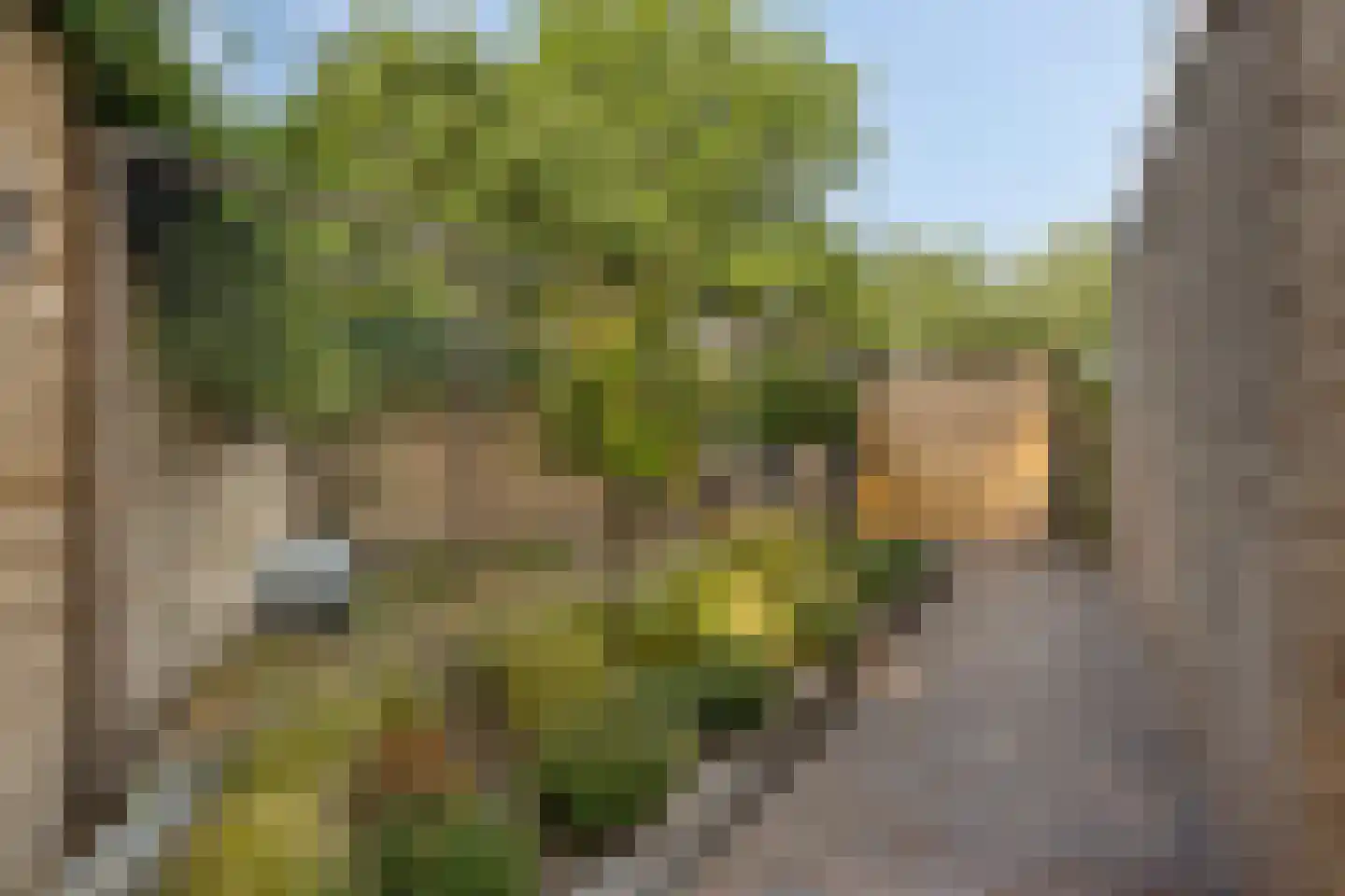 Kaar 13 Schaijk thumbnail 32
