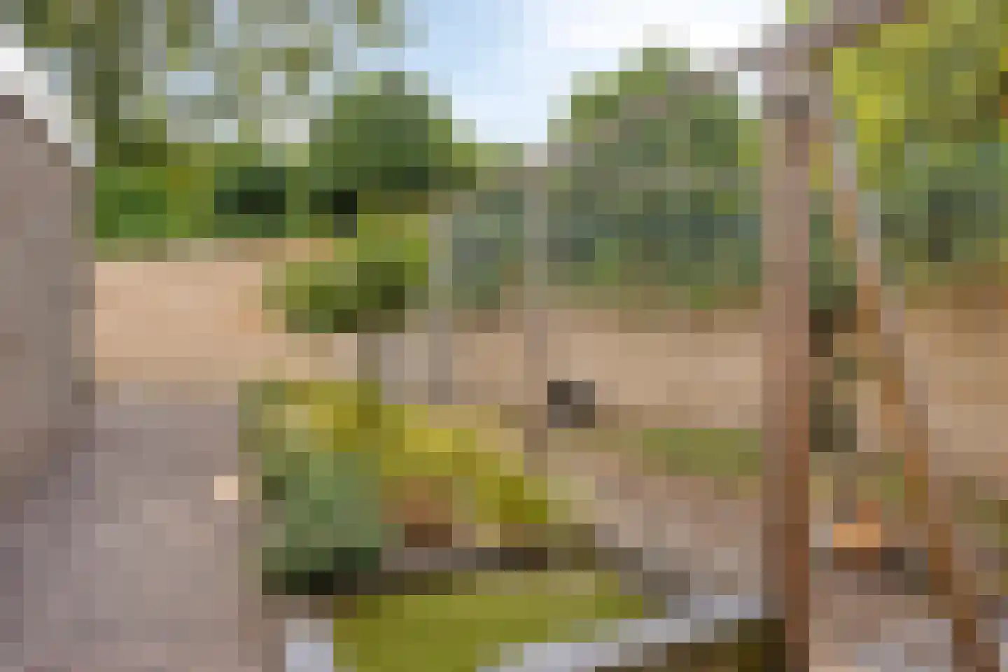 Kaar 13 Schaijk thumbnail 33