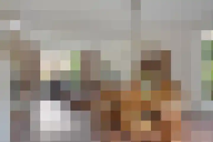 Kaar 14 Riel thumbnail 15