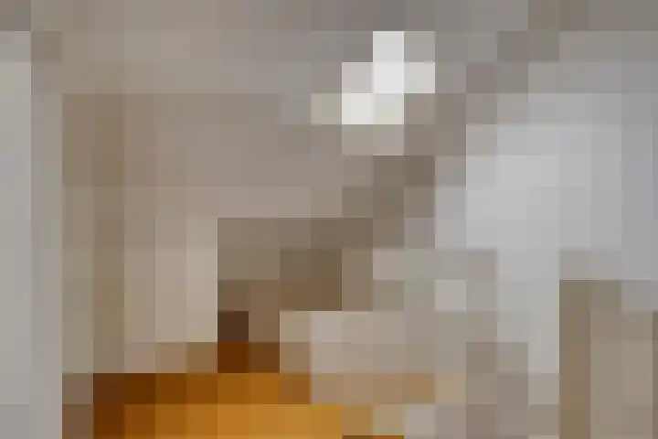 Kaar 14 Riel thumbnail 32