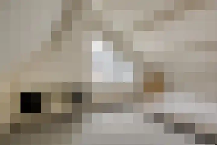 Kaar 14 Riel thumbnail 34
