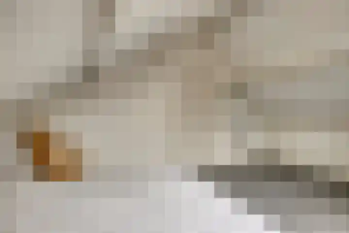 Kaar 14 Riel thumbnail 35