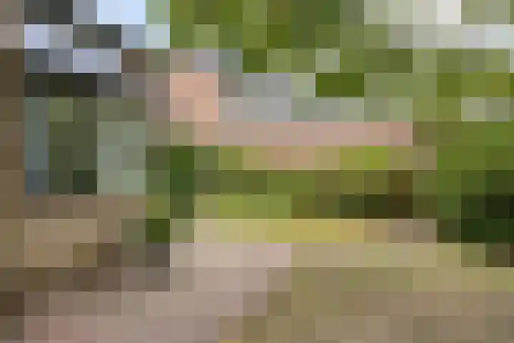 Kaar 14 Riel thumbnail 36