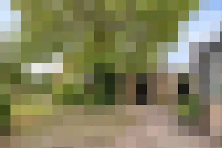 Kaar 14 Riel thumbnail 37