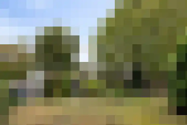Kaar 14 Riel thumbnail 40