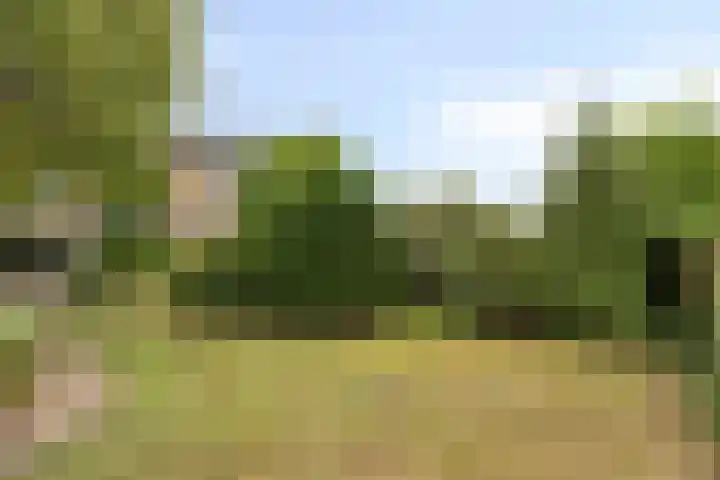 Kaar 14 Riel thumbnail 41