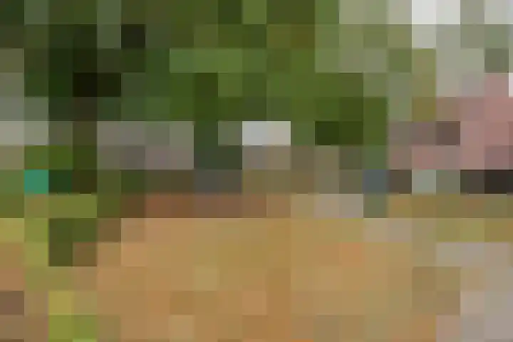 Kaar 14 Riel thumbnail 42
