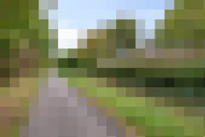 Kaar 14 Riel thumbnail 43