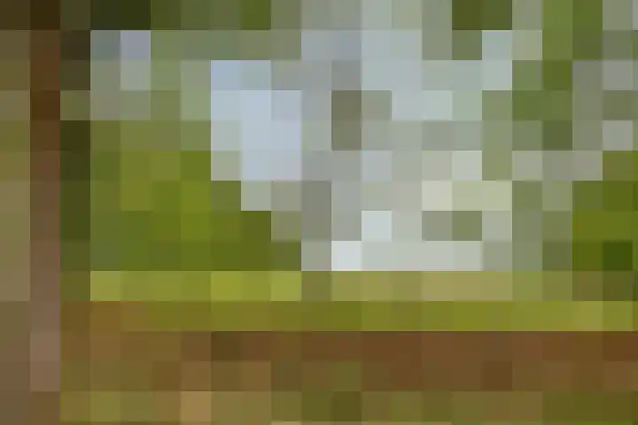 Kaar 14 Riel thumbnail 45