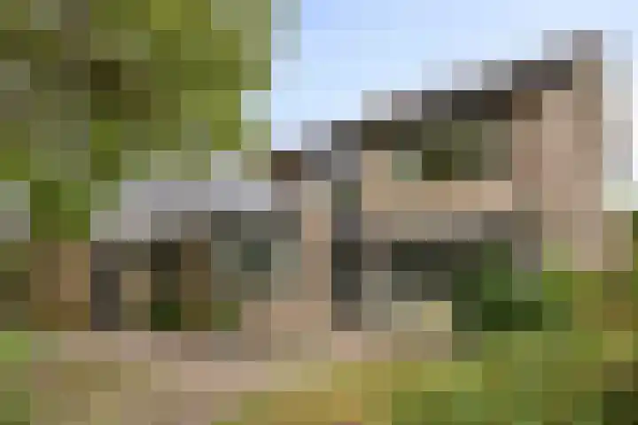 Kaar 14 Riel thumbnail 6