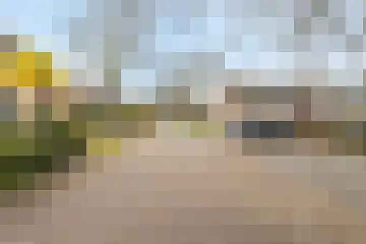 Kaar 20 Riel thumbnail 12