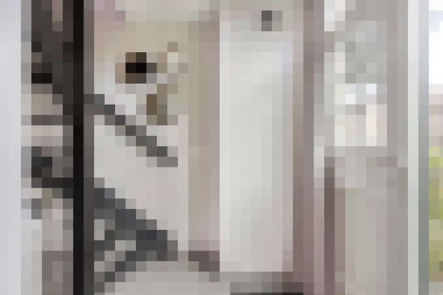 Kaar 20 Riel thumbnail 14