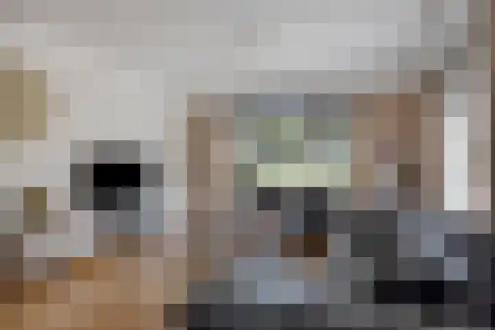 Kaar 20 Riel thumbnail 16