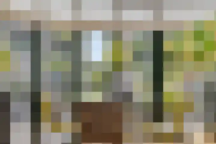 Kaar 20 Riel thumbnail 28