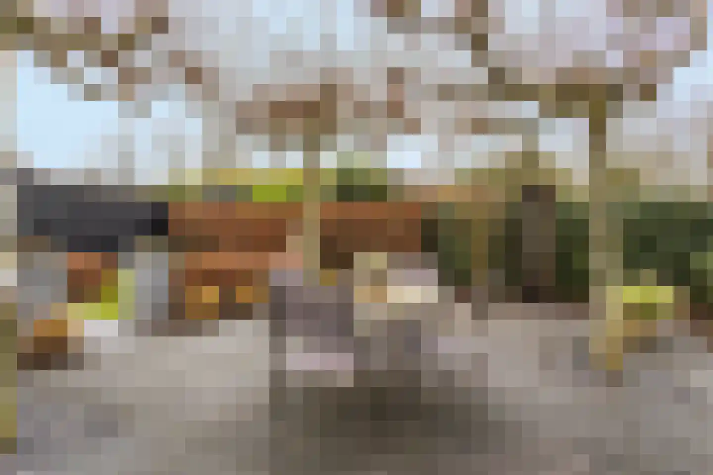 Kaar 20 Riel thumbnail 32