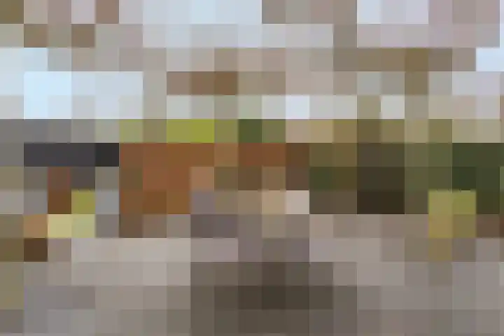 Kaar 20 Riel thumbnail 32