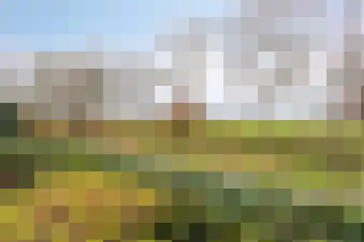 Kaar 20 Riel thumbnail 33