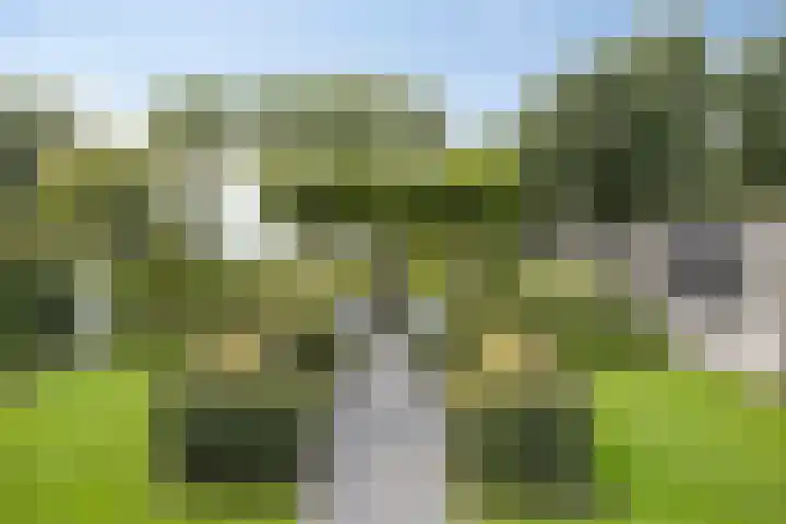 Kaar 20 Riel thumbnail 4