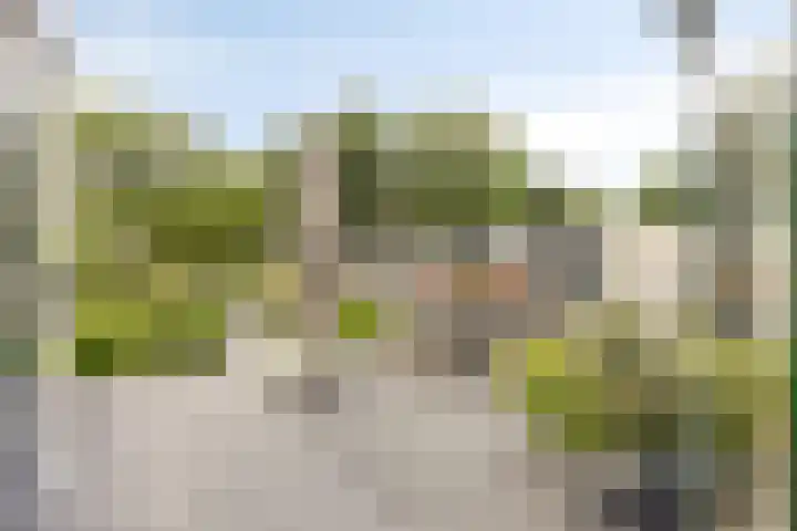 Kaar 20 Riel thumbnail 52