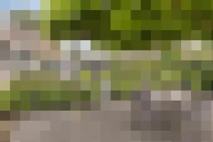 Kaar 20 Riel thumbnail 53