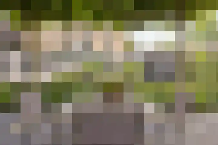 Kaar 20 Riel thumbnail 54