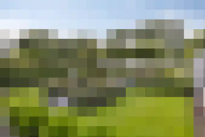 Kaar 20 Riel thumbnail 55