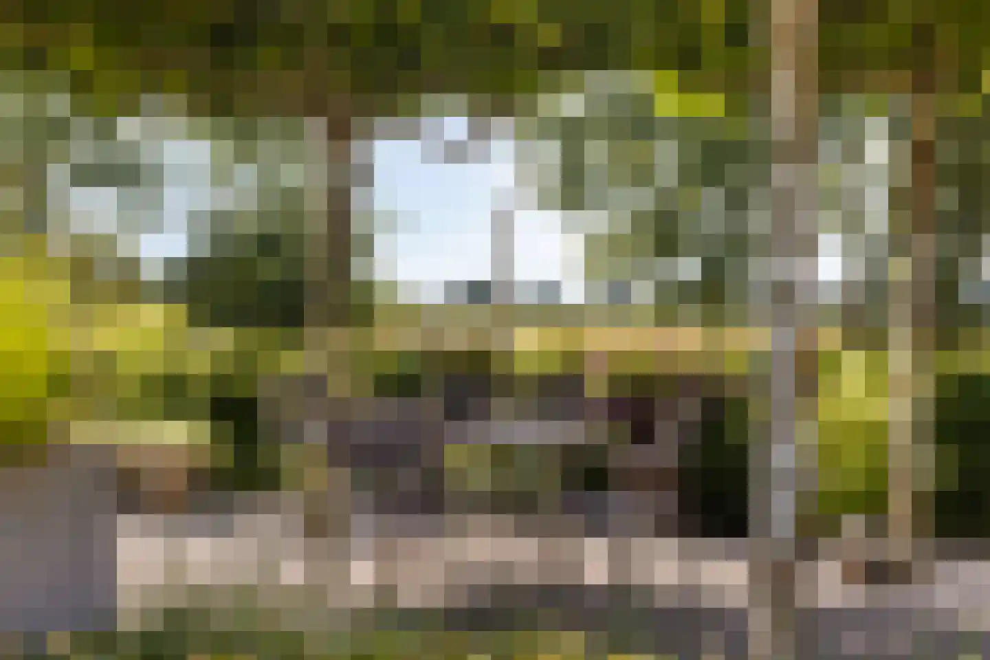 Kaar 20 Riel thumbnail 57