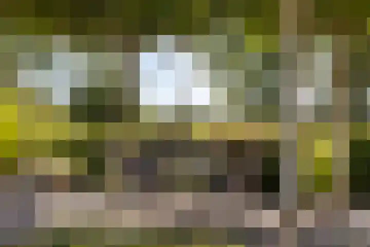 Kaar 20 Riel thumbnail 57