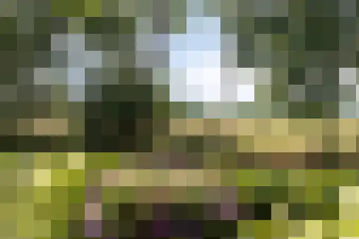 Kaar 20 Riel thumbnail 58