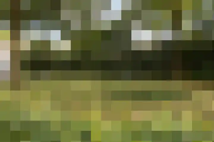 Kaar 20 Riel thumbnail 59