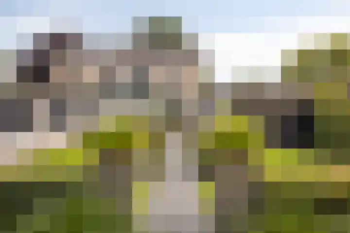 Kaar 20 Riel thumbnail 6