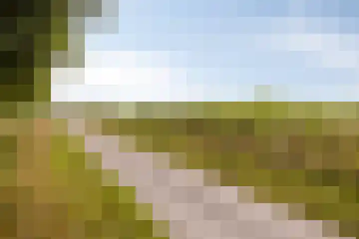 Kaar 20 Riel thumbnail 61