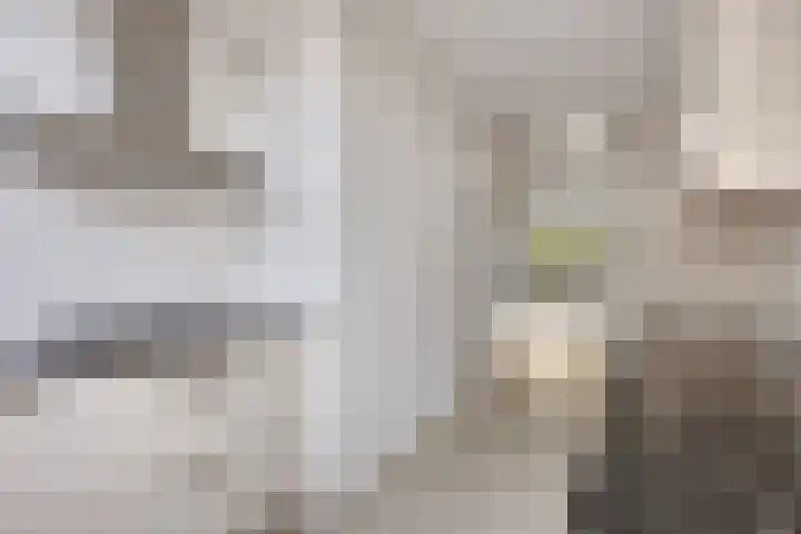 Kaar 21 Hoogvliet Rotterdam thumbnail 11