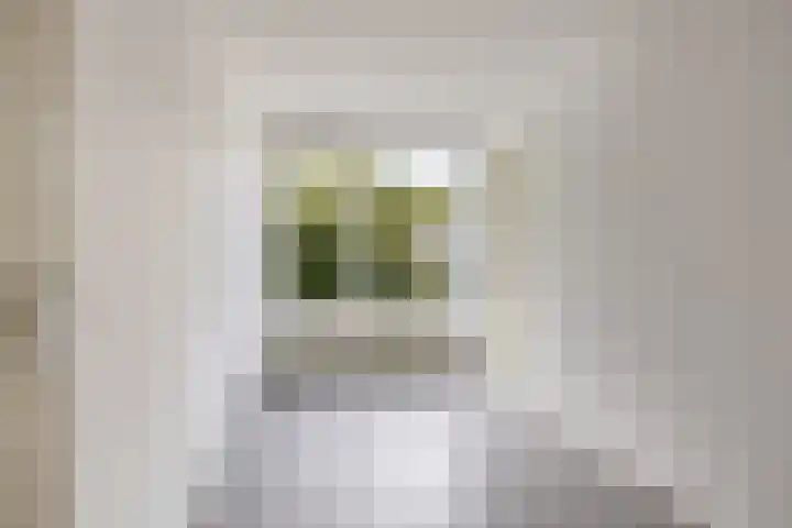 Kaar 21 Hoogvliet Rotterdam thumbnail 17