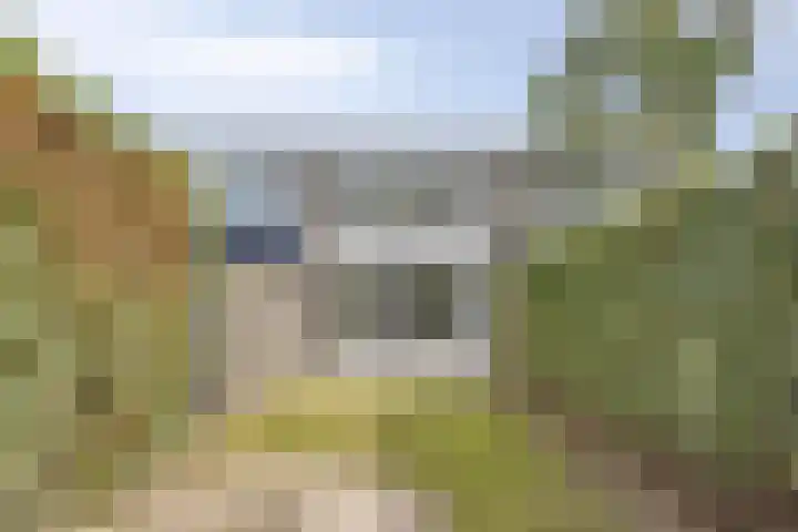 Kaar 21 Hoogvliet Rotterdam thumbnail 22
