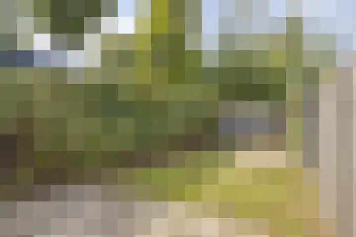 Kaar 21 Hoogvliet Rotterdam thumbnail 23