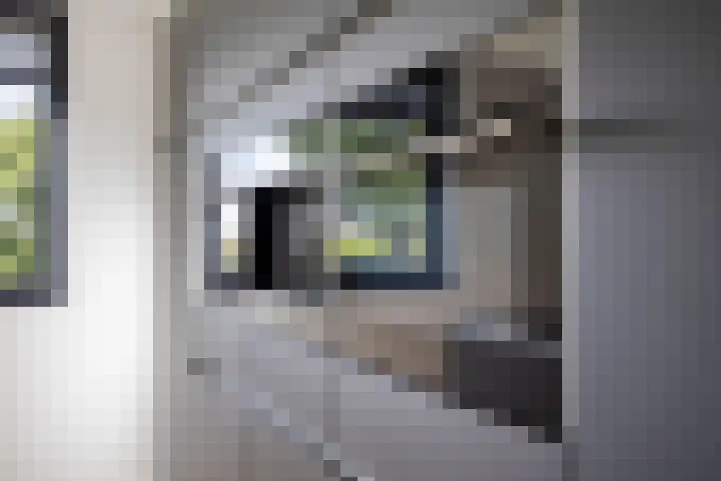 Kaar 24 Riel thumbnail 27