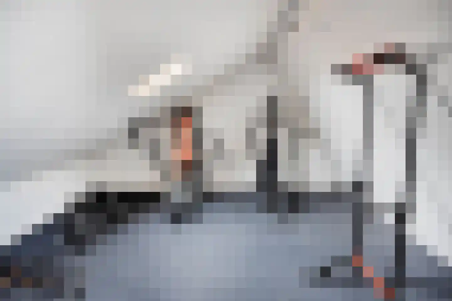 Kaar 24 Riel thumbnail 47