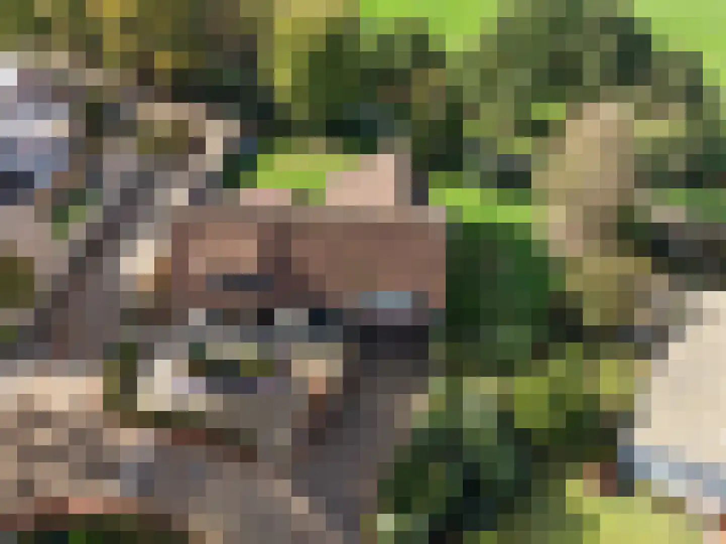 Kaar 24 Riel thumbnail 62